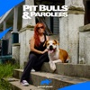 Télécharger Pit Bulls and Parolees, Season 13