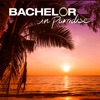 Télécharger Bachelor in Paradise, Season 6