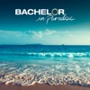 Télécharger Bachelor in Paradise, Season 5