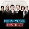 Télécharger New-York District, Saison 20