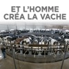 Télécharger Et l'homme créa la vache