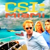 Télécharger CSI: Miami, Season 8