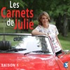Télécharger Les carnets de Julie, Saison 1