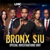 Télécharger Bronx SIU: Season 1