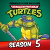 Télécharger Teenage Mutant Ninja Turtles (Classic Series), Season 5