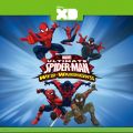 Télécharger Ultimate Spider-Man Web Warriors, Season 3