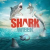 Télécharger Shark Week, 2014