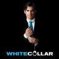 Télécharger White Collar, Season 1