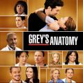 Acheter Grey's Anatomy, Season 5 en DVD