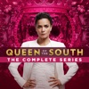 Acheter Queen of the South, The Complete Series en DVD