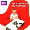 Télécharger Les mystères du cerveau