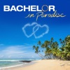 Télécharger Bachelor in Paradise, Season 7