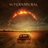 Acheter Supernatural, Saison 15 (VF) en DVD