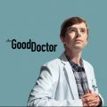 Acheter The Good Doctor, Season 5 (VOST) en DVD
