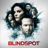 Télécharger Blindspot, Saison 5 (VF)
