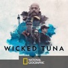 Télécharger Wicked Tuna, Season 8