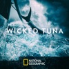 Télécharger Wicked Tuna, Season 7