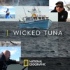 Télécharger Wicked Tuna, Season 6