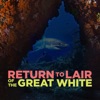 Télécharger Return to Lair of the Great White
