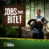 Télécharger Jobs That Bite!, Season 1