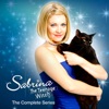 Télécharger Sabrina The Teenage Witch: The Complete Series