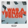 Télécharger I Was a Teenage Felon, Season 1