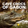 Télécharger Cave Crocs of Gabon