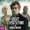Télécharger Great Expectations