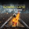 Télécharger If There Be Thorns