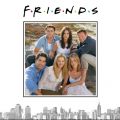 Télécharger Friends, Season 9