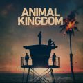 Télécharger Animal Kingdom, Season 5