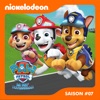 Télécharger Paw Patrol, la Pat’ Patrouille, Saison 7, Partie 2