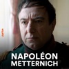 Télécharger Napoléon-Metternich : le commencement de la fin