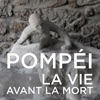 Télécharger Pompéi : la vie avant la mort