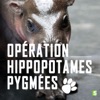 Télécharger Opération hippopotames pygmées
