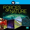 Télécharger Forces of Nature