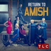 Télécharger Return to Amish, Season 1