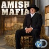 Télécharger Amish Mafia, Season 3