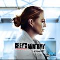 Télécharger Grey's Anatomy, Saison 17