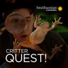 Télécharger Critter Quest!