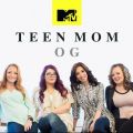 Télécharger Teen Mom, Vol. 13