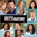 Télécharger Grey's Anatomy, Season 9