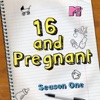 Télécharger 16 and Pregnant, Vol. 1