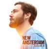 Télécharger New Amsterdam, Saison 3 (VF)