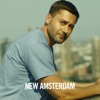 Télécharger New Amsterdam, Saison 2 (VF)
