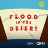 Télécharger Flood in the Desert