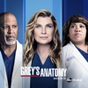 Télécharger Grey's Anatomy, Saison 18 (VF)