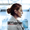 Télécharger Grey's Anatomy, Saison 17 (VF)