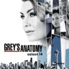 Télécharger Grey's Anatomy, Saison 14 (VF)
