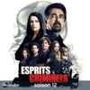 Télécharger Esprits criminels, Saison 12 (VF)